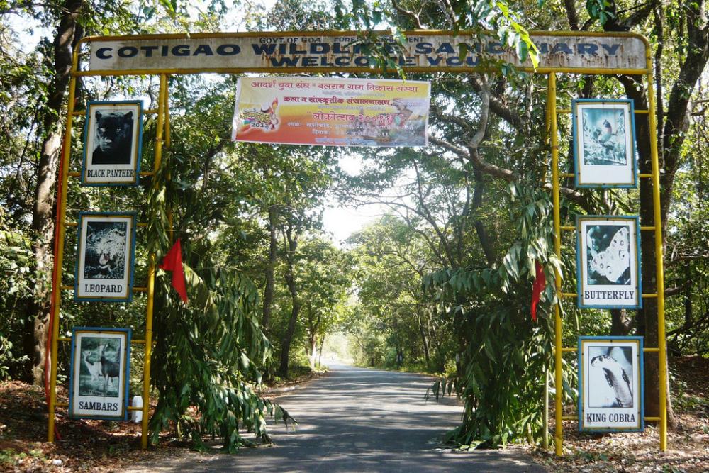 Cotigao Wildlife Sanctuary